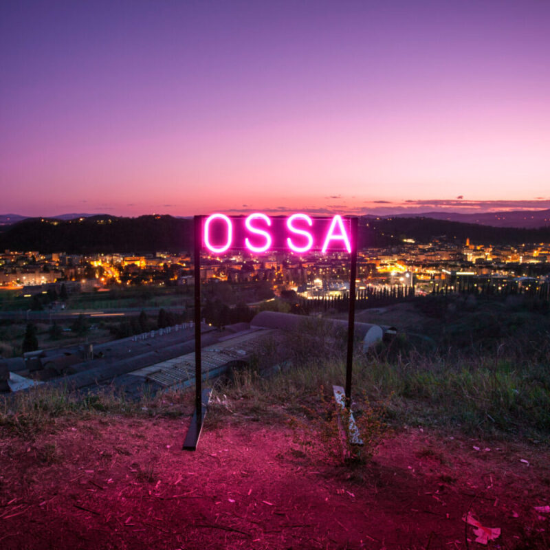“Ossa” è il nuovo singolo de La Monarchia, prima co-produzione Flebo/Banana Studios su etichetta Flebo