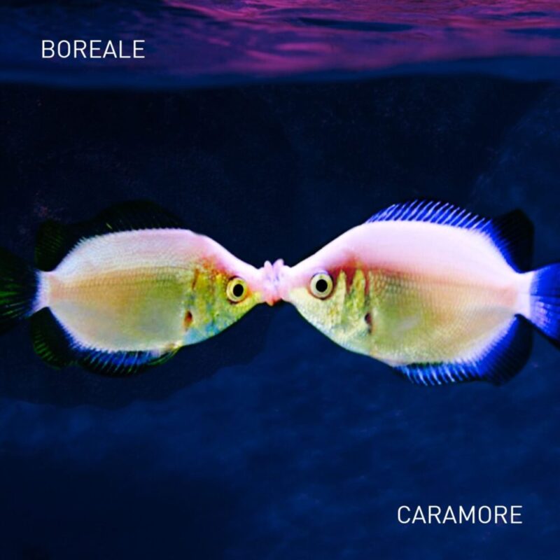Boreale: da oggi in digitale e da domani in radio “Caramore”, il nuovo singolo del cantautore romano