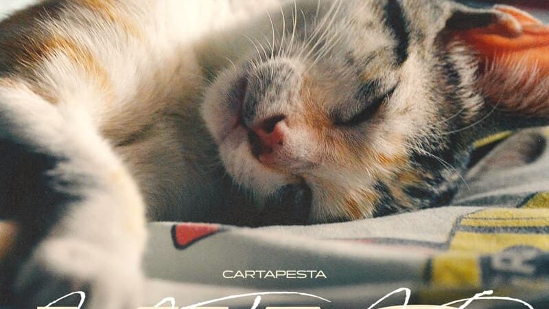 Cartapesta pubblica il nuovo singolo Miao!